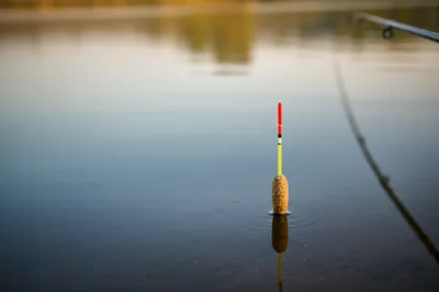 Illustration corks - Image 1