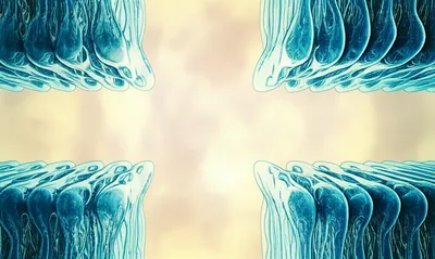 Illustration envelope - Image 1