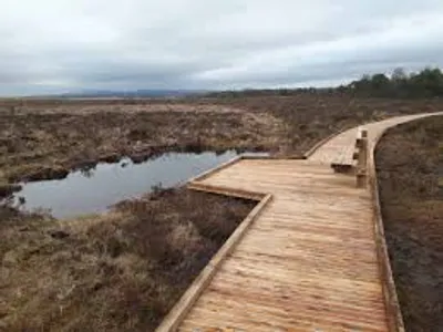 Illustration boardwalk - Image 2