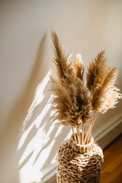 Illustration stalked - Image 2