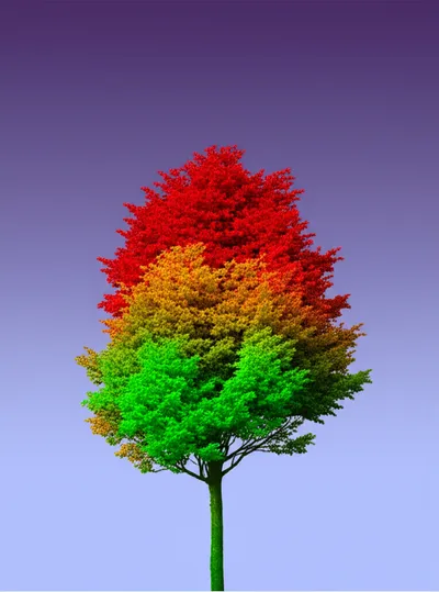 Illustration varied - Image 1