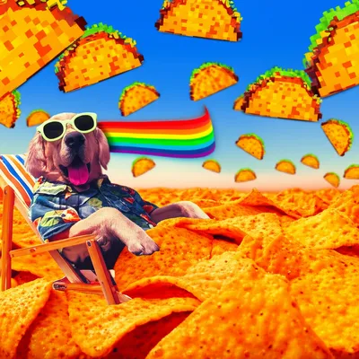 Illustration dank - Image 1