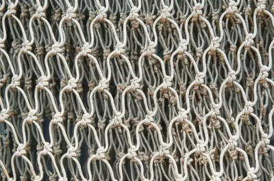 Illustration balks - Image 1