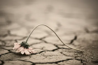 Illustration passively - Image 1