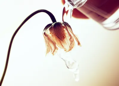 Illustration delayed - Image 1