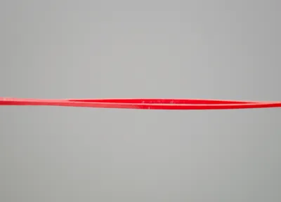 Illustration elastic - Image 1