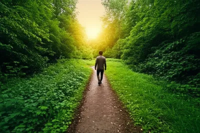 Illustration habitudes - Image 2