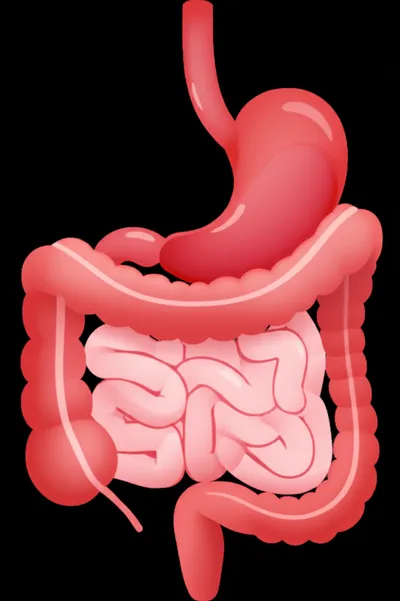 Illustration flexures - Image 1