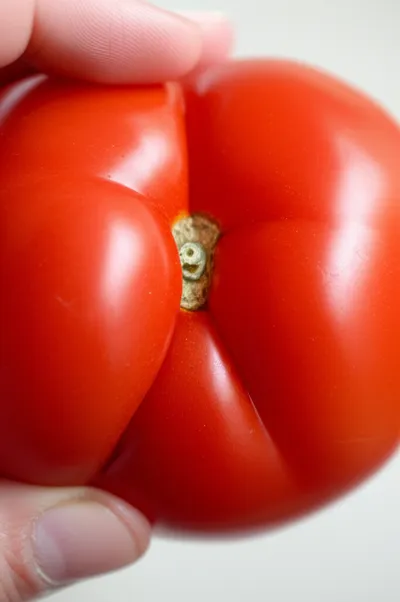 Illustration puckers - Image 2