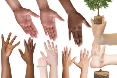 Illustration spanning - Image 1