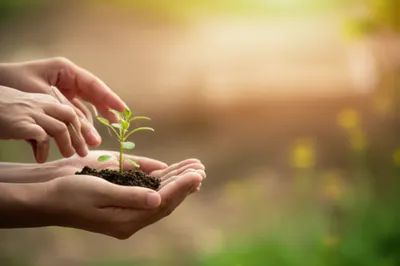 Illustration administrations - Image 1