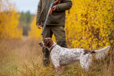 Hình ảnh minh họa settings - Ảnh 1