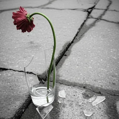 Illustration comedown - Image 1