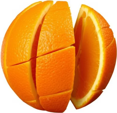 Illustration sections - Image 1