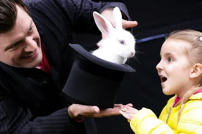 Illustration cozened - Image 1