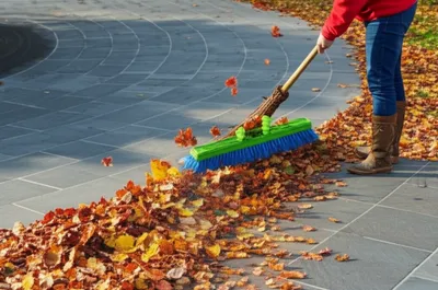 Illustration sweeps - Image 1