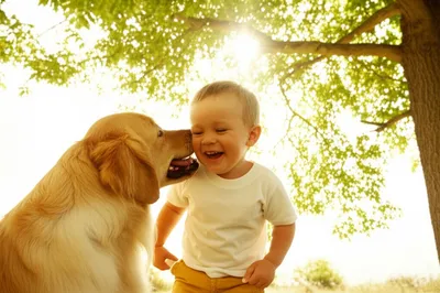 Illustration amiable - Image 1