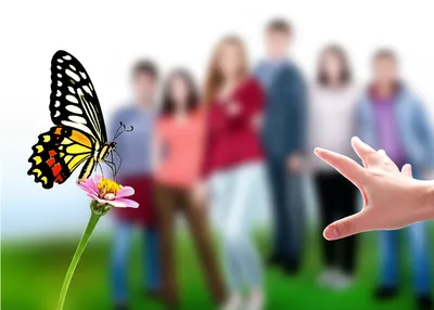 Illustration blurred - Image 1