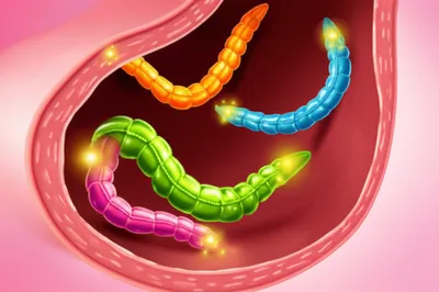 Illustration tapeworm - Image 1