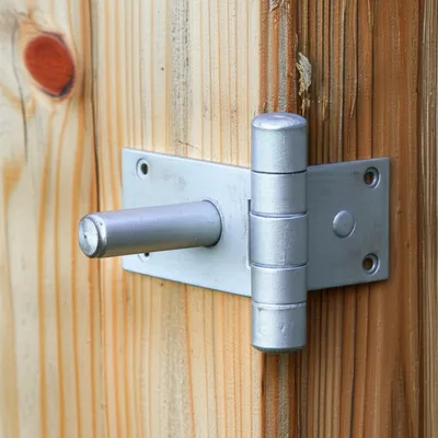 Illustration shank - Image 1