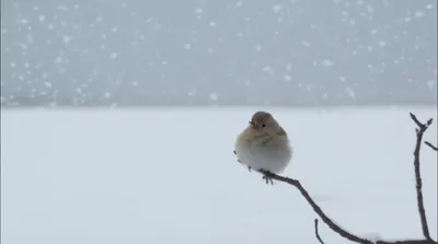 Illustration exposures - Image 1