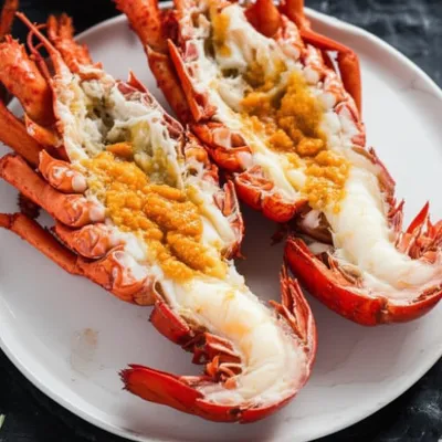 Illustration corals - Image 1