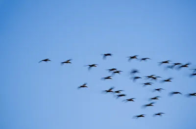 Illustration slew - Image 1