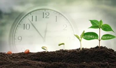 Illustration fo - Image 1