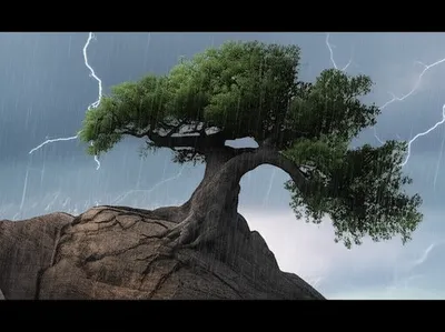 Illustration staunch - Image 1