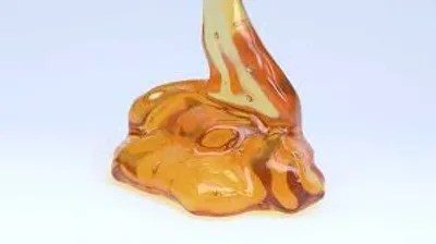 Illustration gob - Image 2