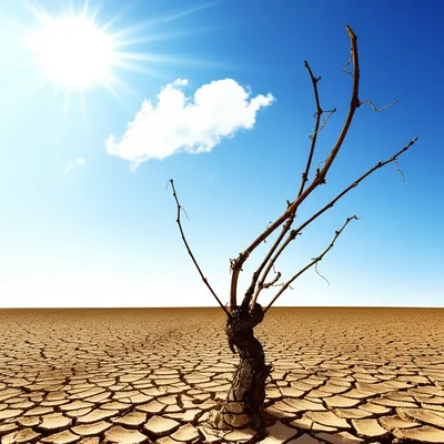 Illustration clinging - Image 1