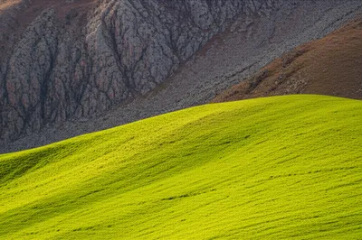 Illustration gradient - Image 1