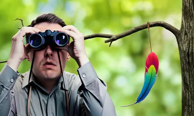 Illustration dip - Image 1