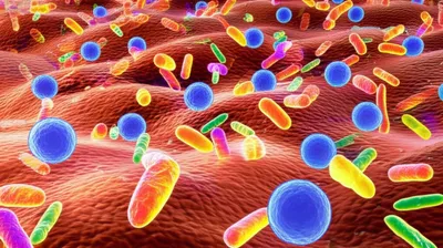 Illustration bacterial