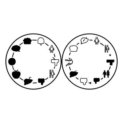 Illustration regular - Image 1