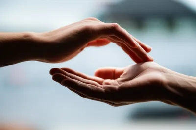 Illustration offer - Image 1