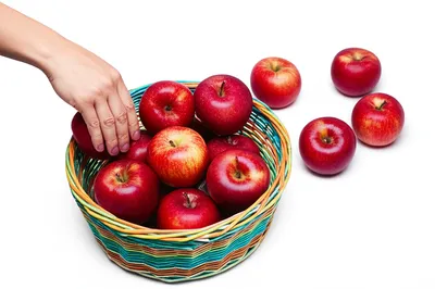 Illustration modulo - Image 1