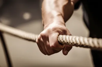 Illustration pulls - Image 1