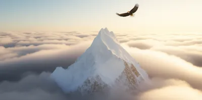 Illustration tops - Image 1