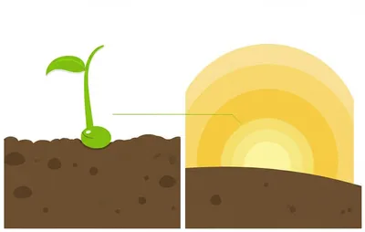 Illustration meanwhile - Image 1