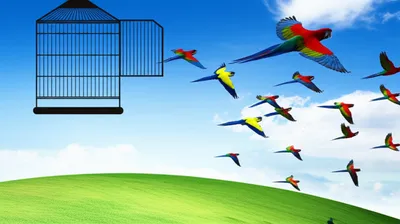 Illustration gratis - Image 1