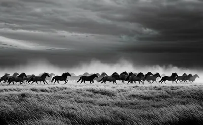 Illustration outlaws - Image 1