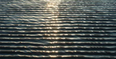 Illustration undulation