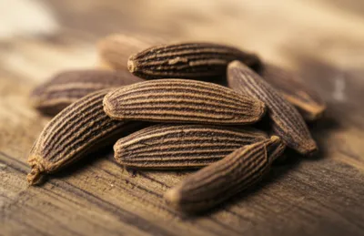 Illustration jeera - Image 1