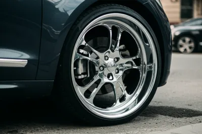 Illustration dub - Image 1