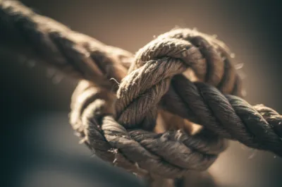 Illustration crowns - Image 1