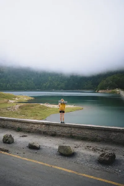 Illustration verged - Image 2