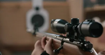 Illustration sighted - Image 1