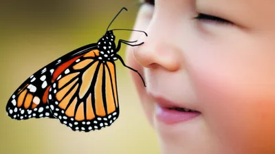 Illustration nudge - Image 1