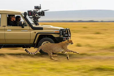 Illustration trucked - Image 1